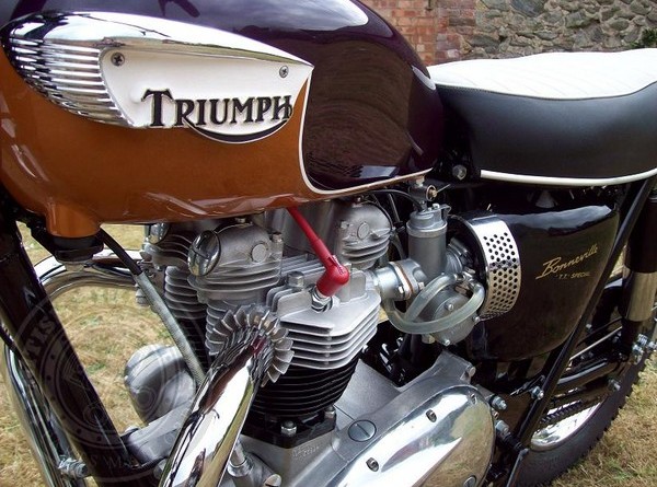 Triumph T120TT Closeup